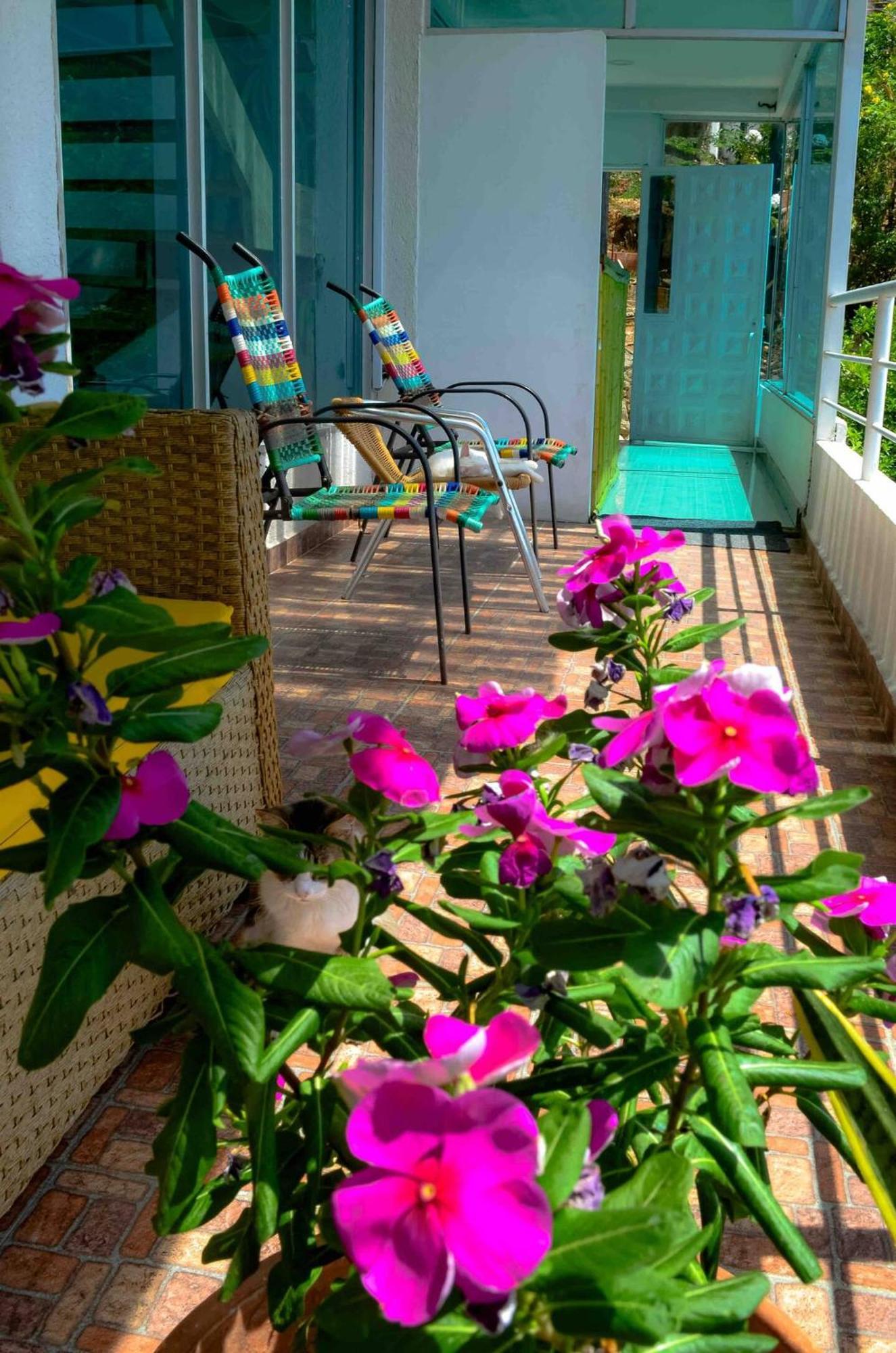Casa Babel Taganga Otel Santa Marta Dış mekan fotoğraf